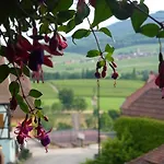 Hotel Maison Kieffer - & Vins D'alsace Itterswiller