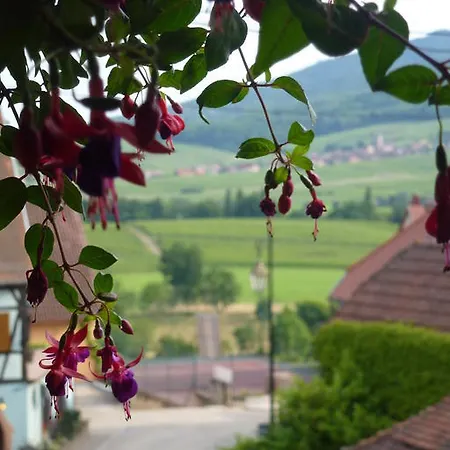 Hotell Maison Kieffer - & Vins D'alsace Itterswiller