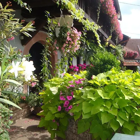 Hotel Kieffer 2*