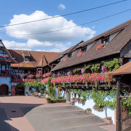 Hotell Maison Kieffer - & Vins D'alsace Itterswiller