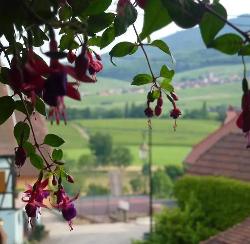 Hotel Kieffer Itterswiller